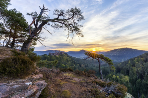 Eine Landschaft im Licht eines Sonnenuntergangs.